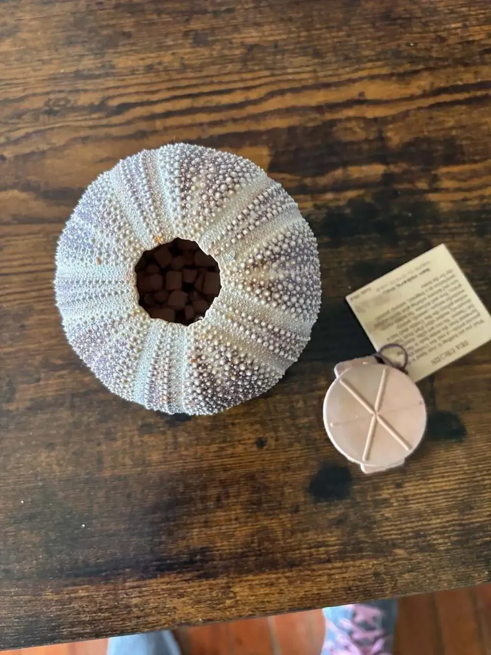 Vintage Ben Rickert Natural Sea Urchin Pomander Fragrance Decor - Picture 4 of 4